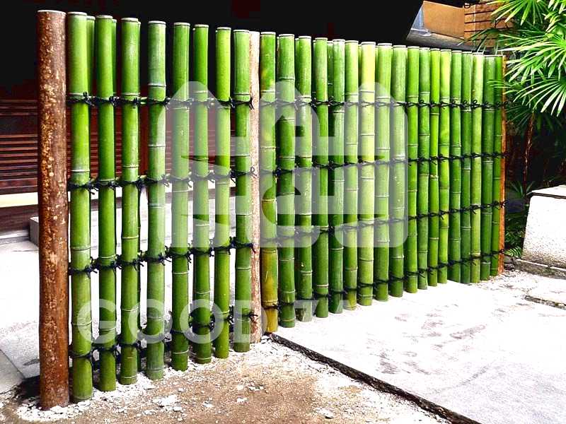 Идеи на тему «ЗАБОРЫ ИЗ БАМБУКА» (82) | бамбук, забор, бамбуковая изгородь